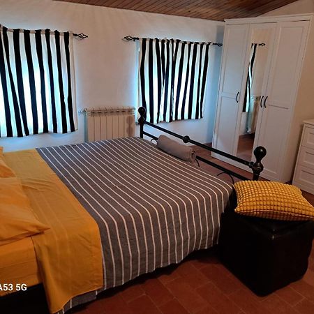 Pepe House Βίλα Capannori Εξωτερικό φωτογραφία